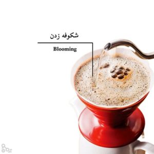 بلومینگ قهوه چیست؟
